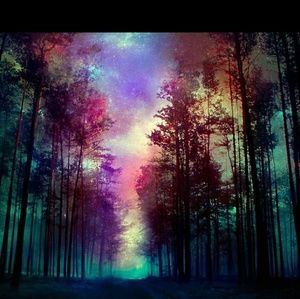 Meet your Posher, Shawn